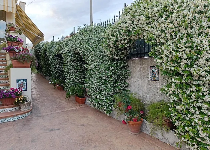 Bed And Breakfast Angolo Fiorito Civitavecchia