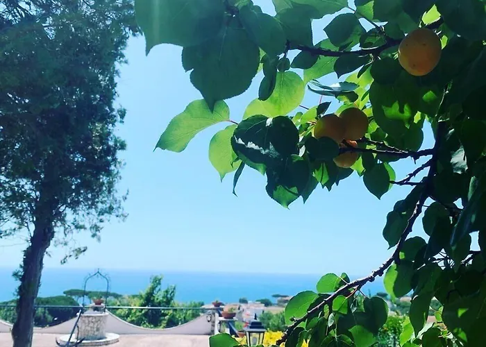 Gli Archi Sul Mare Bed & Breakfast Gaeta